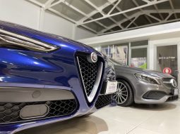 
										Alfa Romeo STELVIO Super MY17 2.2 TD 210 CV Q4 full									