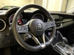 
										Alfa Romeo STELVIO Super MY17 2.2 TD 210 CV Q4 full									