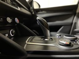 
										Alfa Romeo STELVIO Super MY17 2.2 TD 210 CV Q4 full									