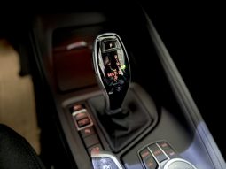 
										BMW X1 (F48) xDrive18d 2.0 150 CV 4×4 full									