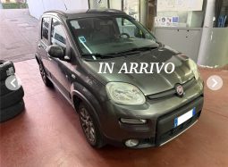 Fiat Panda Trekking 4×4 1.3 MJT 95 CV E6 Diesel
