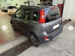 Fiat Panda Trekking 4×4 1.3 MJT 95 CV E6 Diesel