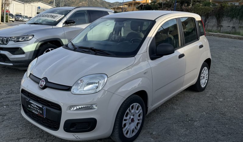 
								FIAT PANDA EASY 1.2 70 CV full									